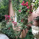 Villa With Big Garden