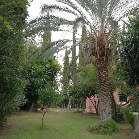 Вилла With Big Garden *