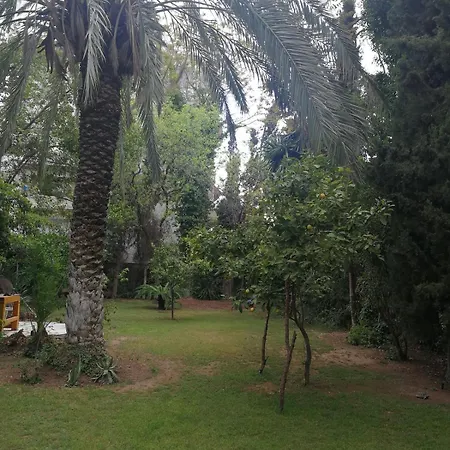 With Big Garden *