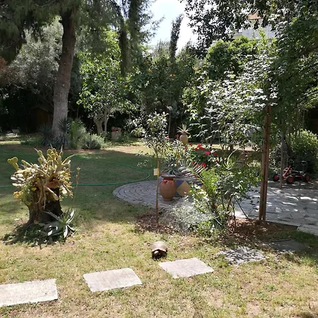 With Big Garden