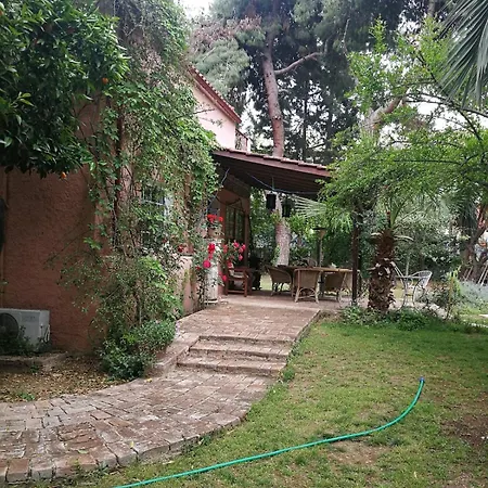 With Big Garden Вилла Афины