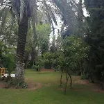 With Big Garden *