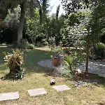 With Big Garden