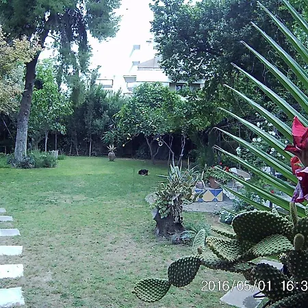 别墅 With Big Garden 雅典