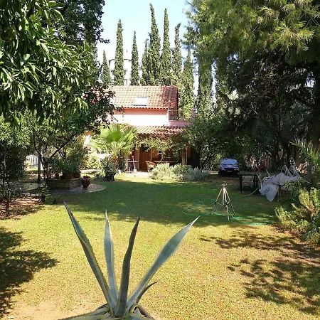 With Big Garden
